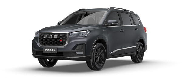 Barva SWM G05 - Šedá metalíza